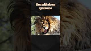 Animals with down syndrome😳 || #shorts