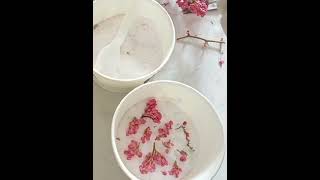 cara mengeringkan bunga menggunakan silica powder #proses #driedflower #diy #epoxyresin #fyp