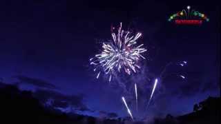 Skydazzle Wedding Fireworks Display Cwrt Bleddyn Hotel