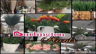 NEW Burlington Plants Browse With Me | Summer | Come With Me