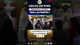 Las almas son de Dios #viralvideo #parati #amor #shortsvideo