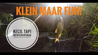 VLOG-5  Mancing, kecil tapi menyenangkan - Vissen, klein maar fijn