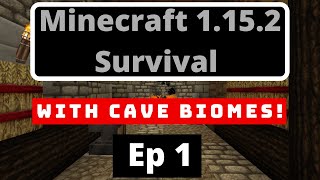 1.15.1 Minecraft Survival -Vanilla Or Modded?