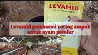 Cara pemberian obat cacing lewat pakan lebih praktis