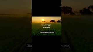 SURAH AR-RAHMAN #arrahman #alquran #islamicstatus #islamicvideo #islam #ngajimerdu #lantunanmerdu