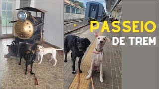 Passeio de trem com cachorro