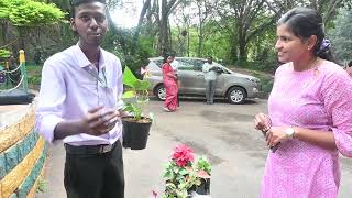 Horticulture plants for Sale from UAHS students in GKVK Campus