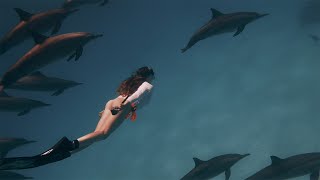 Trip with dolphins 🐬 ALFAKSU 🧜🏻‍♀️ underwater girl 🌊 Red Sea