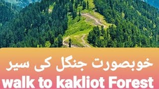 Walk to Kakliot Forest Azad kashmir Pakistan. خوبصورت جنگل کی سیر