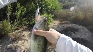 Ripbait Sesh - Bass Fishing San Diego Southern California