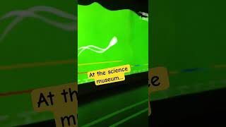 Let’s Race! Saturday Reflections “Weird Science” #shortvideo #germany #science #shorts #cool #life