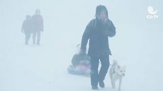 De onde vem tanto frio no Hemisfério Norte?