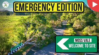 ! Emergency Edition ! Welcome to Site - Moss Vale - Shanes Trees