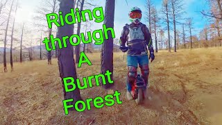 Riding My EUC Through A Burnt Forest