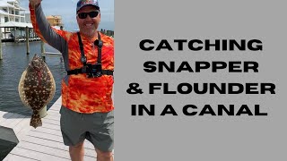 Catching Flounder and Snapper in a Canal!!