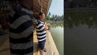 Ikan ini yang buat pemancing ketagihan #viral #trending #short #short #mancing