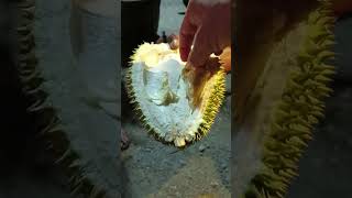 Hanya Di Aceh Durian Sangat2 Murah