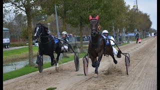 Kortebaan 't Zand 2017