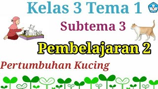 Kelas 3 Tema 1 Subtema 3 Pembelajaran 2 //Pertumbuhan Kucing