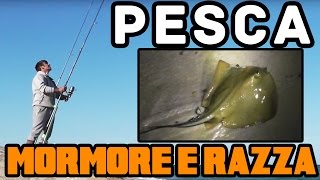 PESCA IN MARE ALLA RAZZA con CANNE E MULINELLI SURFCASTING | LE RAZZE: PESCI PIATTI | SurfCasting TV