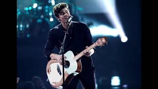 "In My Blood" by Shawn Mendes but the instruments are replaced by my voice