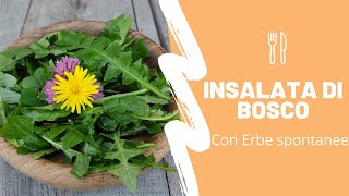 Insalata di bosco - un piatto vegano con solo erbe spontanee del bosco