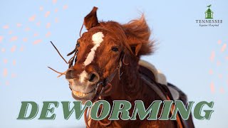 What to know about Horse Deworming with Dr. Matthew