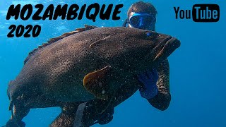 Spearfishing MOZAMBIQUE 2020 | BSV ep6