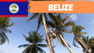 VLOG 6 | Echte Karibische Vibes in Belize!