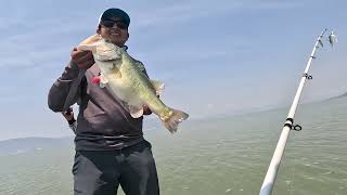 Este LAGO esta INVADIDO de Peces😱😱!! Pescando en el LAGO DE CHAPALA, el LAGO mas GRANDE de MEXICO!!