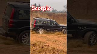 🌅🎁#scorpio#scorpiolover#thar#tharlover#automobile#racing#car#shortvideos#viralvideos#viral#carlover🎁