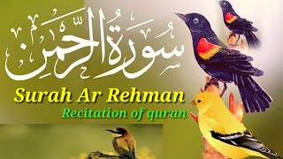 Surah Rahman | Ep - SR253 By Qari Abdul Waris | سورہ رحمٰن55 |Beautiful Recitation | Edited&04213