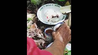 Cooking Bamboo Rice Offering To the Ancestor || Ritual Before Coffee Harvesting #shorts