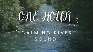 ONE HOUR | Calming River Water Sound For Stress Relief and Deep Sleep