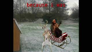 Grandma got run over by a reindeer...because I was the Uber driver that night.