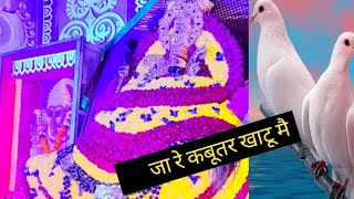 जा रे कबूतर खाटू मै मेरे श्याम ने कर दे बैरा । new shyam Bhajan vishesh bhandari ki madhur aabaj me