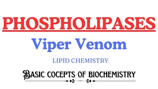 Phospholipases | Action of Viper snake venom | Phospholipase A2 | Lysolecithine