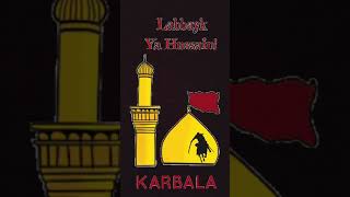 Labbayk ya hussain ✋ #karbala