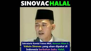 MUI menyatakan Vaksin Covid-19 dari Sinovac Halal