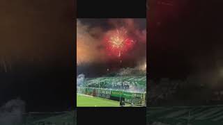 PYRO - BSG Chemie Leipzig - FC Rot-Weiß Erfurt 25.1.23