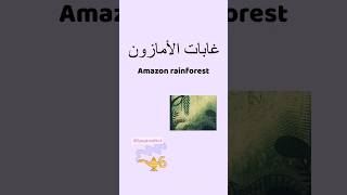 #forest #amazonrainforest #learnlevantinearabic #arabic #speakarabic