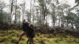 The Firs, Stewarts Brook State Forest, Barrington Tops