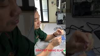 Đấu hạt mạng RJ45/QuangVietMT