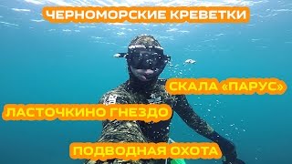 Крым 2016 / Ялта / Подводная охота / Черноморские креветки / Скала "Парус" / Ласточкино гнездо