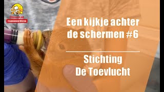 Een kijkje achter de schermen #6 - De Toevlucht