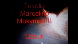 Tėvo Marcelino Iragui Redin ocd mokymas 4 dalis Medaus mėnuo ir sausros dykuma