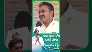 కడప జనం నోట.. ఒకటే మాట..#ysavinashreddy #ysavinashyouth #ysjagan #ysrcp