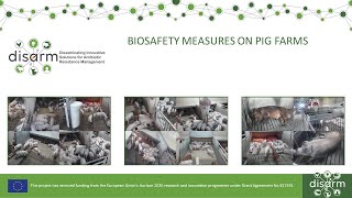 Biosafety measures on pig farms