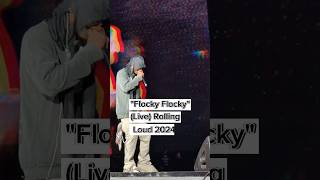 Travis Scott & Don Toliver perform "Flocky Flocky" (Live) at Rolling Loud LA 2024