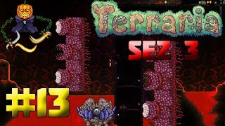 Terraria Romania 1.3.5.3 - Am batut Wall of Flesh | Episodul 13 [Sez.3]